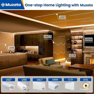 外部 防水 12/24V シリコン LED ライト ストリップ 家庭装飾用 ネオン LED ストリップ ライト 白 16.4ft/5m ネオン ライト ストリップ 12V シリコン 防水 柔軟 LED ネオン ロープ ライト 寝室 祭り用