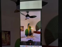 LED天井扇風機ライト 品質が良い ベストセラー